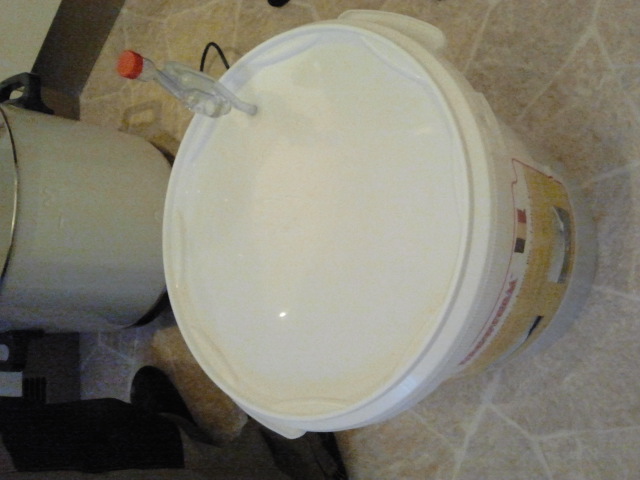 Brewing bucket